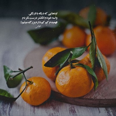 اسمت اومد و قلبم نمیزد چشام میسوخت ولی پلک نمیزد